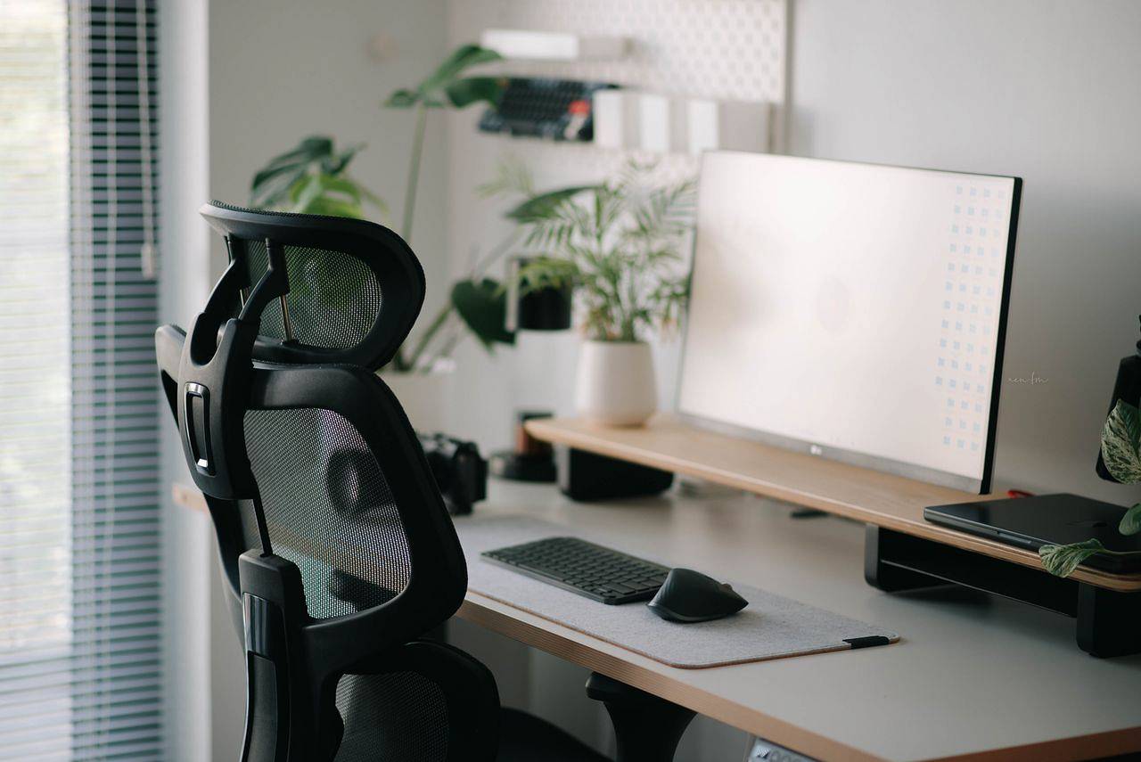 scaun ergonomic pentru birou